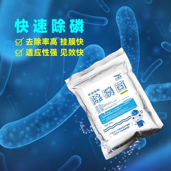 山东小海牛微生物除磷菌种降总磷聚磷菌防超标