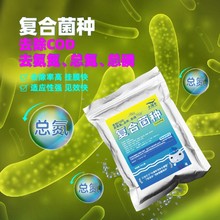 微生物复合菌种降解去除COD氨氮总氮污水处理菌剂培菌好厌氧池	生产销售批发