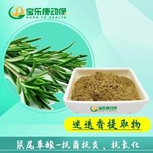 水溶迷迭香提取物迷迭香酸鼠尾草酸60%现货动物饲料添加