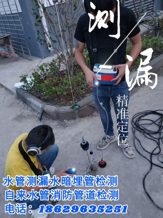 17260.jpg@750w_750h_90Q