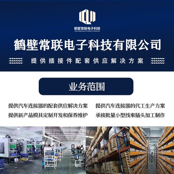 BX2061汽車線束連接器接插件