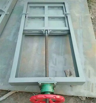 湖北橡膠止水不銹鋼閘門(mén)