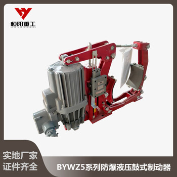 气体防爆制动器BYWZ5-300/50工业防爆制动器工厂直发