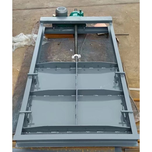 800x800機(jī)閘一體鑄鐵閘門