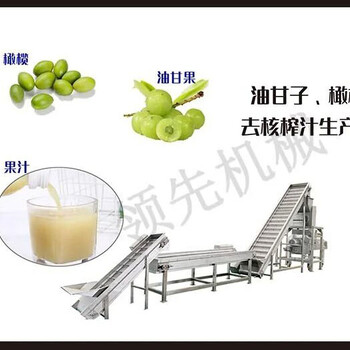 橄欖汁生產(chǎn)線(xiàn)NFC果汁成套加工設(shè)備