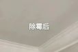 广州壁纸除霉服务,白云区墙面发霉处理,房屋除霉清洁公司
