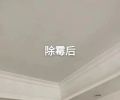 广州除霉公司,广州市白云天河区墙面发霉处理天花板除霉防霉消毒