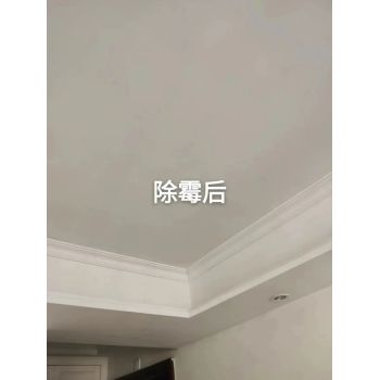 广州除霉公司,广州市白云天河区墙面发霉处理天花板除霉防霉消毒