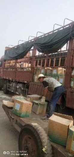 安徽阜陽大量回收染料