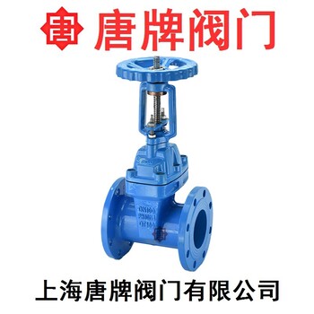 鑄鐵明桿彈性座封軟密封閘閥Z41X-16Q唐牌泰科滬工上海閥門