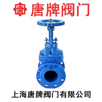 鑄鐵明桿彈性座封軟密封閘閥Z41X-16Q唐牌泰科滬工上海閥門