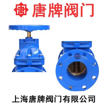 鑄鐵銅芯暗桿人防防護(hù)閘閥Z45T-16Q唐牌泰科滬工上海閥門