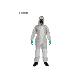 連體帶帽防護服/有害物質(zhì)防護服/微生物防護服，防靜電防塵服