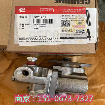 NTS35（35噸）噴油嘴4928346美國康明斯4087887