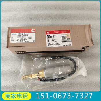 NTS35（35噸）噴油嘴4928346美國康明斯4087887