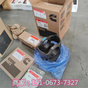 康明斯電力（CUMMINS）3642862康明斯4001327