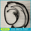 優(yōu)勢：線束4975755/5483706康明斯T30主機(jī)線束