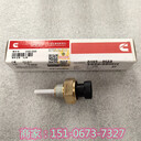 3011884中鐵康明斯執(zhí)行器4351507/高壓安全盒4351508