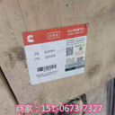 超值曲軸4099004/3648630/4099003適配日立QSK38挖機(jī)