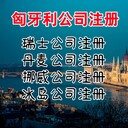 匈牙利公司注冊優(yōu)勢匈牙利公司注冊流程匈牙利公司注意事項