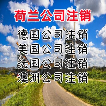 荷兰公司如何注销荷兰公司注销条件荷兰公司注销流程