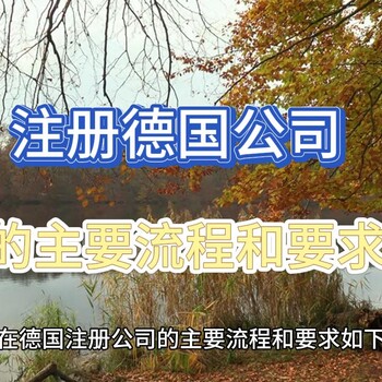 德國注冊公司的主要流程和要求