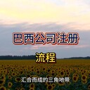 巴西公司注冊(cè)流程