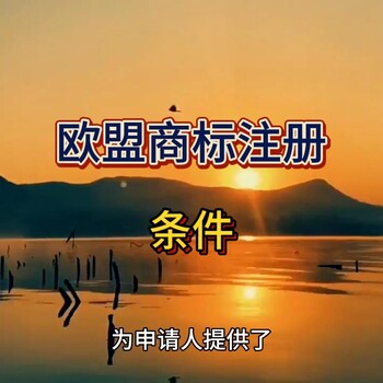 歐盟商標(biāo)注冊(cè)流程