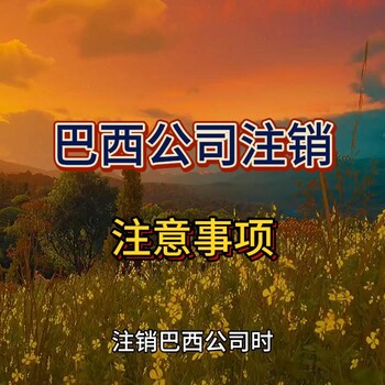 注銷巴西公司注意流程