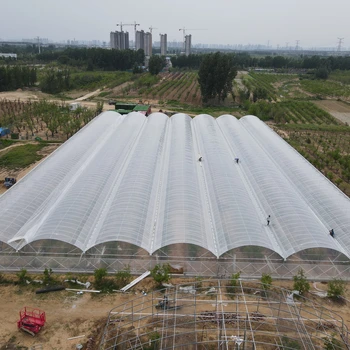 甘肅溫室/雨季對(duì)溫室大棚施工的影響及應(yīng)對(duì)策略