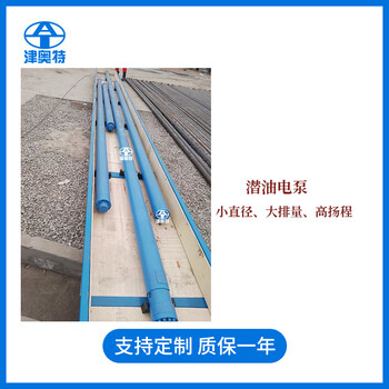 潛油電泵小直徑高揚(yáng)程津奧特