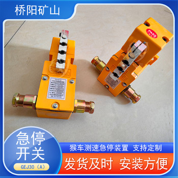 猴車用限位保護開關(guān)全線急停保護裝置GEJ30-A型急停開關(guān)手動復位