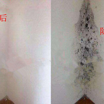 广州华玉白墙除霉满意付款，卧室墙壁潮湿发霉修复处理