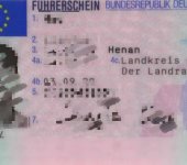 郑州德语翻译，德国驾照翻译，车管所换驾驶证