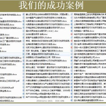 云南省麗江市本地編制項(xiàng)目的可行性研究報(bào)告