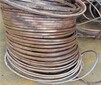 廣州海珠二手絕緣電纜回收-工廠舊閑置電纜回收-誠(chéng)信公司圖片