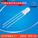F5圓頭霧狀雙色帶白直插式LED燈珠白藍/白紅/白綠雙色