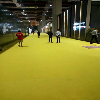 加厚加密拉絨展覽地毯展會(huì)酒店寫字樓商用卷材客廳可定制
