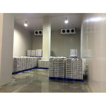 衢州柯城區(qū)無(wú)菌實(shí)驗(yàn)室拆除回收化工廠車間拆除