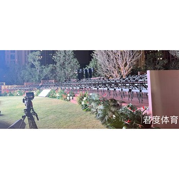 音樂節(jié)貴賓看臺租賃--安全衛(wèi)士