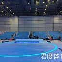 江蘇南京大型活動看臺