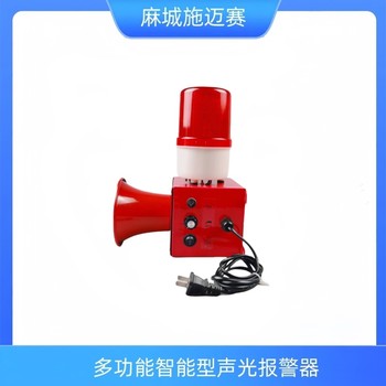 HLZY-0602-13聲光報警器,皮帶啟停裝置