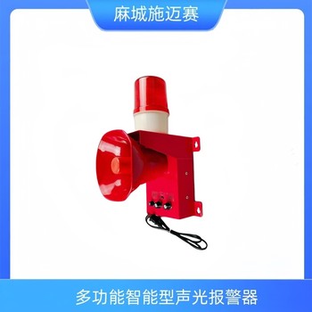 HLZY-0602-13聲光報警器,皮帶啟停裝置