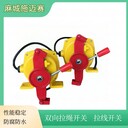 電源顯示拉繩開關(guān)BFL-4-220