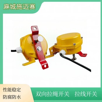 智能急停開(kāi)關(guān)ZNJT-KG-220-11拉線開(kāi)關(guān)