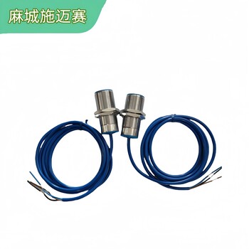電感式接近開關IFL30-384-10/01錨定裝置用限位開關