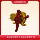 雙向拉繩開關(guān)LSG-20帶式拉繩控制器