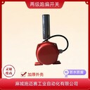 皮帶防跑偏保護裝置LT10-AD兩級跑偏開關(guān)