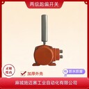 兩級跑偏開關(guān)/HQP-996PT/PS皮帶跑偏而緊急停機(jī)
