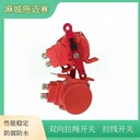 雙向拉繩開關(guān)HQL-996PT/PS皮帶輸送機(jī)安全保護(hù)開關(guān)